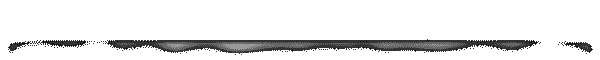 Software